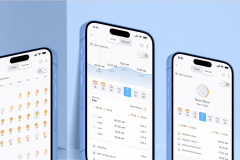 NOAA Tide Chart for sailors